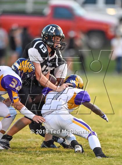 Thumbnail 1 in Mayflower @ Bigelow photogallery.