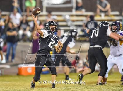 Thumbnail 1 in Mayflower @ Bigelow photogallery.