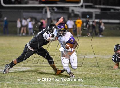 Thumbnail 3 in Mayflower @ Bigelow photogallery.