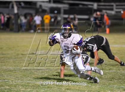 Thumbnail 2 in Mayflower @ Bigelow photogallery.
