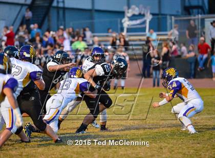 Thumbnail 3 in Mayflower @ Bigelow photogallery.
