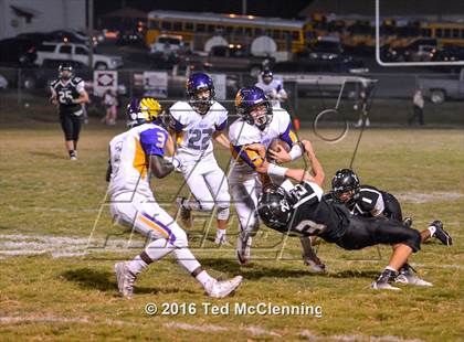 Thumbnail 3 in Mayflower @ Bigelow photogallery.