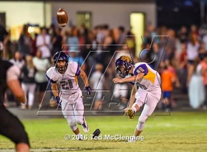 Thumbnail 2 in Mayflower @ Bigelow photogallery.