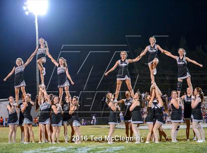 Thumbnail 1 in Mayflower @ Bigelow photogallery.