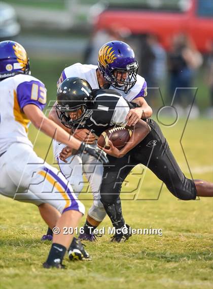 Thumbnail 1 in Mayflower @ Bigelow photogallery.