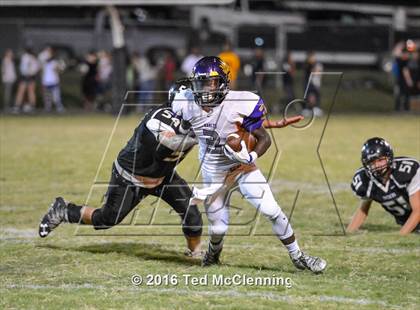 Thumbnail 1 in Mayflower @ Bigelow photogallery.