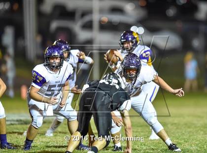 Thumbnail 1 in Mayflower @ Bigelow photogallery.