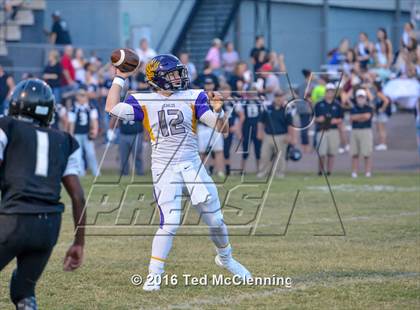 Thumbnail 1 in Mayflower @ Bigelow photogallery.