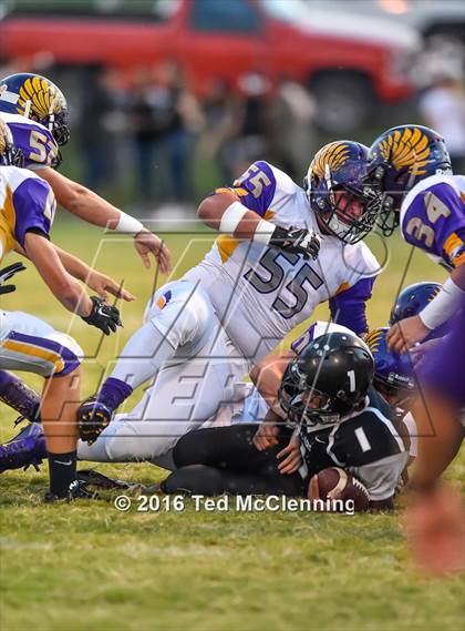 Thumbnail 3 in Mayflower @ Bigelow photogallery.
