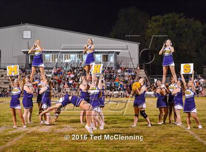 Thumbnail 1 in Mayflower @ Bigelow photogallery.