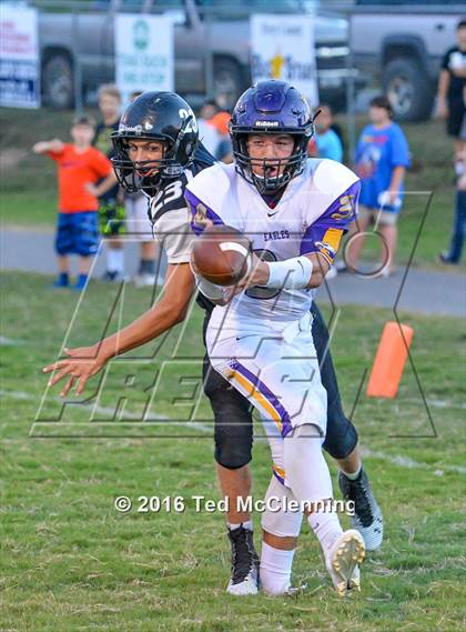 Thumbnail 1 in Mayflower @ Bigelow photogallery.