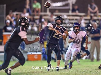 Thumbnail 3 in Mayflower @ Bigelow photogallery.