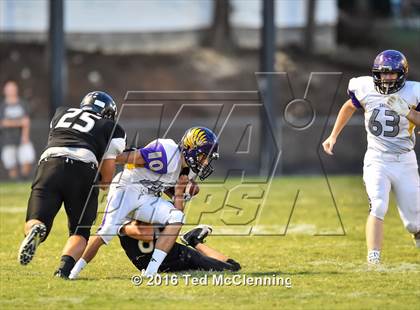 Thumbnail 3 in Mayflower @ Bigelow photogallery.
