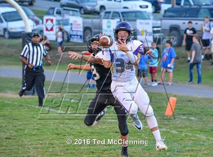 Thumbnail 3 in Mayflower @ Bigelow photogallery.