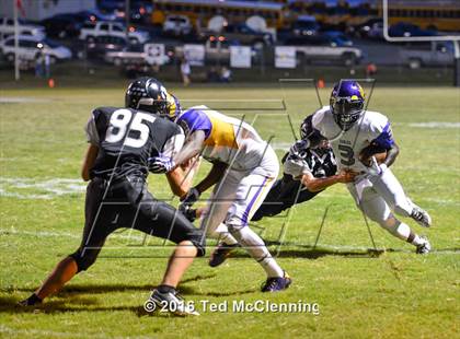 Thumbnail 2 in Mayflower @ Bigelow photogallery.