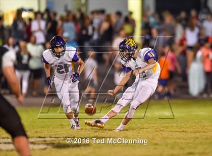 Thumbnail 1 in Mayflower @ Bigelow photogallery.