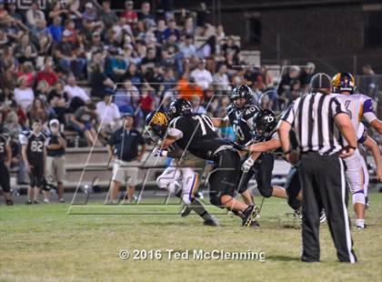 Thumbnail 2 in Mayflower @ Bigelow photogallery.