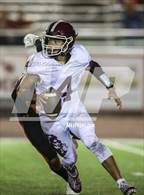 Photo from the gallery "Elko @ Douglas"