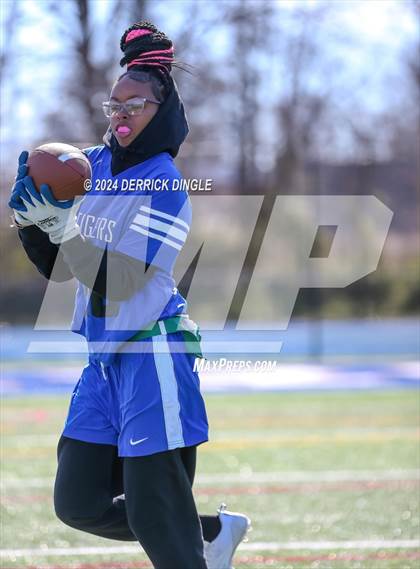 Thumbnail 2 in Roosevelt @ Hempstead photogallery.