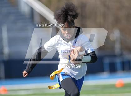 Thumbnail 2 in Roosevelt @ Hempstead photogallery.