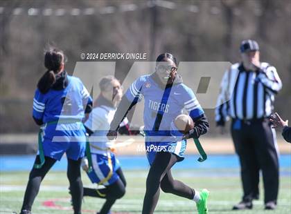 Thumbnail 2 in Roosevelt @ Hempstead photogallery.