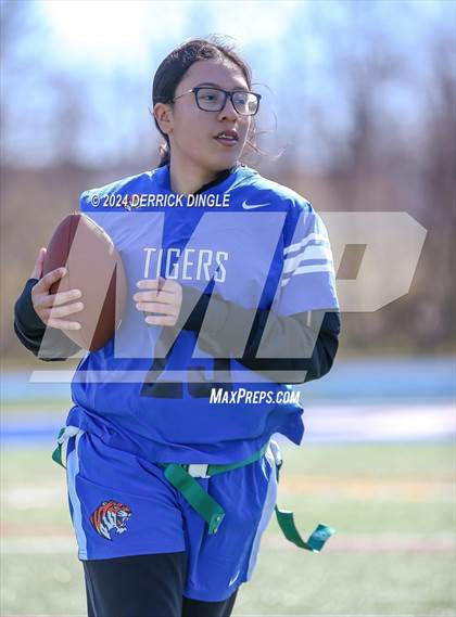 Thumbnail 1 in Roosevelt @ Hempstead photogallery.