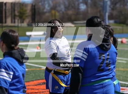 Thumbnail 3 in Roosevelt @ Hempstead photogallery.