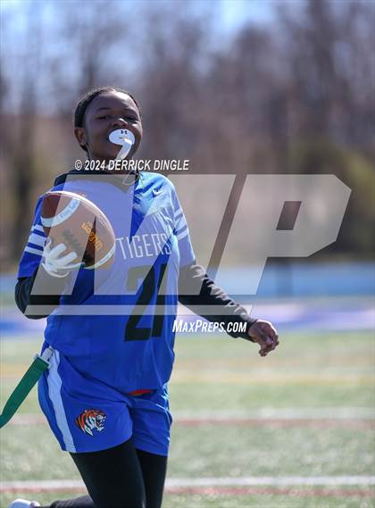 Thumbnail 2 in Roosevelt @ Hempstead photogallery.