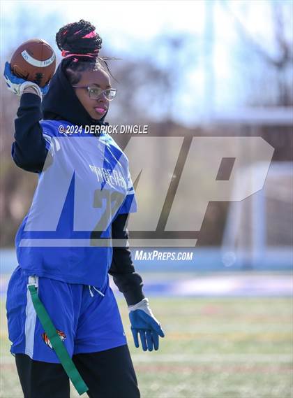 Thumbnail 3 in Roosevelt @ Hempstead photogallery.