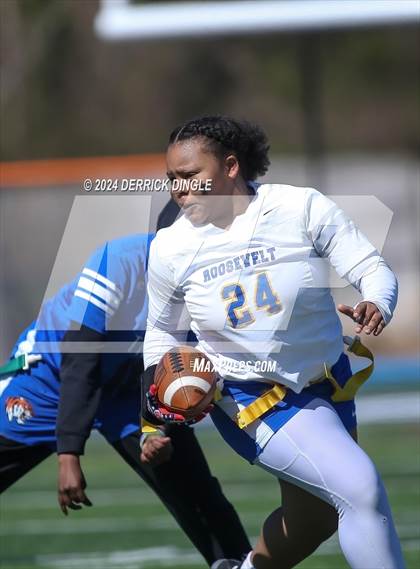 Thumbnail 1 in Roosevelt @ Hempstead photogallery.
