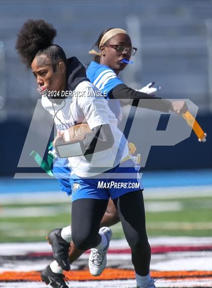 Thumbnail 3 in Roosevelt @ Hempstead photogallery.