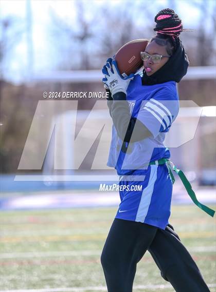Thumbnail 2 in Roosevelt @ Hempstead photogallery.