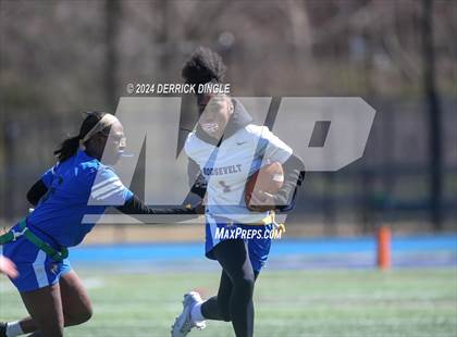 Thumbnail 2 in Roosevelt @ Hempstead photogallery.