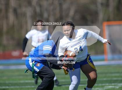 Thumbnail 3 in Roosevelt @ Hempstead photogallery.