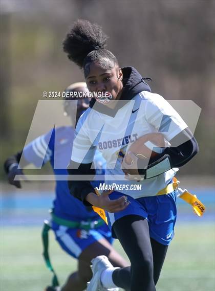 Thumbnail 1 in Roosevelt @ Hempstead photogallery.