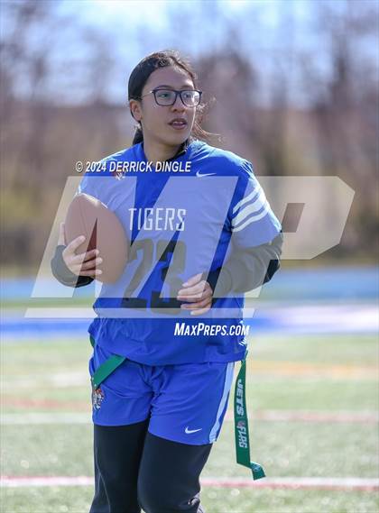 Thumbnail 1 in Roosevelt @ Hempstead photogallery.