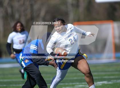 Thumbnail 1 in Roosevelt @ Hempstead photogallery.