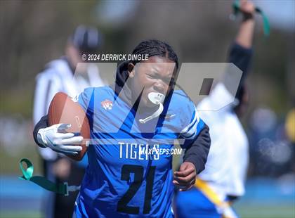 Thumbnail 2 in Roosevelt @ Hempstead photogallery.