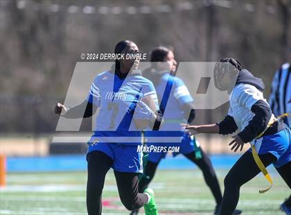 Thumbnail 2 in Roosevelt @ Hempstead photogallery.
