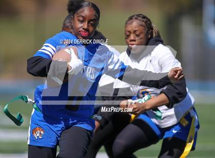 Thumbnail 3 in Roosevelt @ Hempstead photogallery.