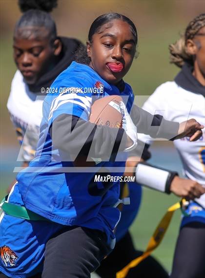 Thumbnail 1 in Roosevelt @ Hempstead photogallery.