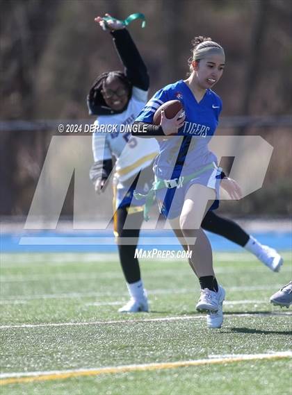 Thumbnail 2 in Roosevelt @ Hempstead photogallery.