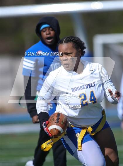 Thumbnail 2 in Roosevelt @ Hempstead photogallery.