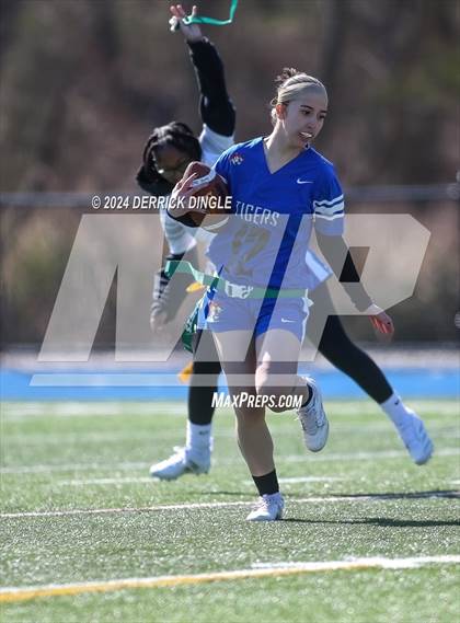 Thumbnail 1 in Roosevelt @ Hempstead photogallery.