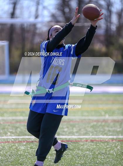 Thumbnail 2 in Roosevelt @ Hempstead photogallery.