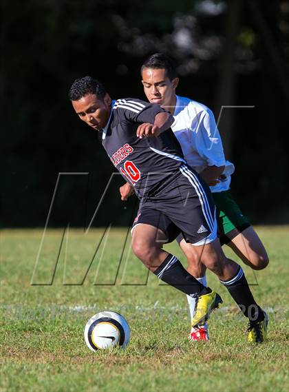 Thumbnail 3 in Patchogue Medford vs. William Floyd photogallery.