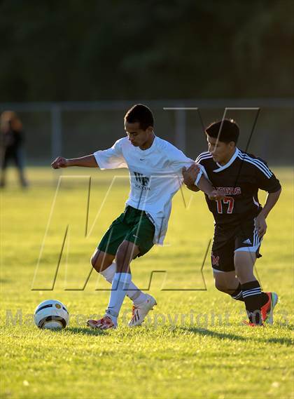 Thumbnail 2 in Patchogue Medford vs. William Floyd photogallery.