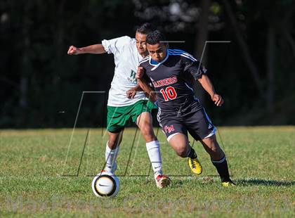 Thumbnail 1 in Patchogue Medford vs. William Floyd photogallery.