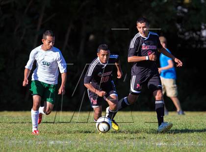 Thumbnail 3 in Patchogue Medford vs. William Floyd photogallery.