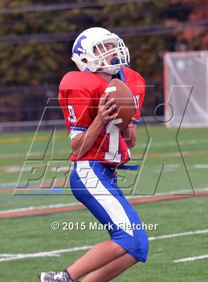 Thumbnail 1 in Triton @ Moorestown photogallery.
